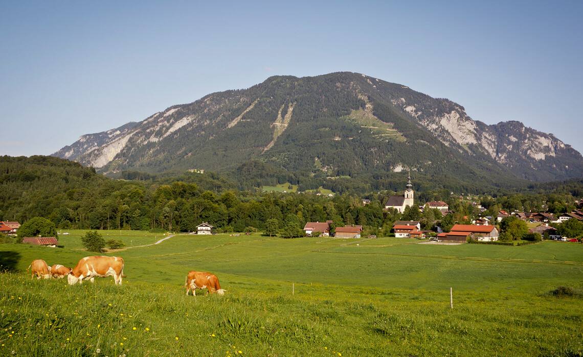 Headerbild Home Entspannung Allgemein 7