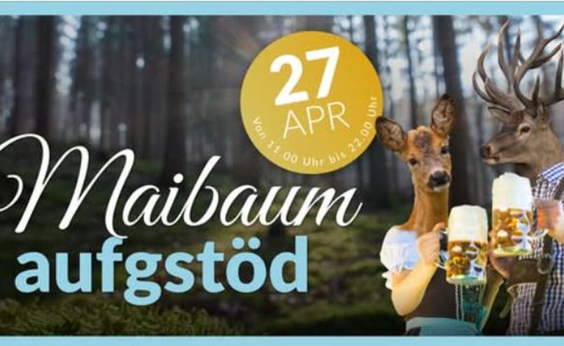 Maibaumaufstoen