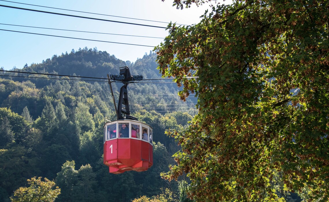 Predigtstuhlbahn Gondel Web